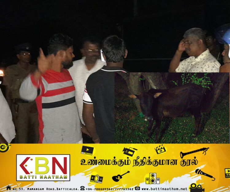 வவுனியாவில் முச்சக்கர வண்டியில் மாடு திருடிய இருவர்; பொது மக்கள் மடக்கி பிடிப்பு!