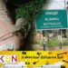 மட்டக்களப்பில் விபத்து; இளைஞன் பலி!