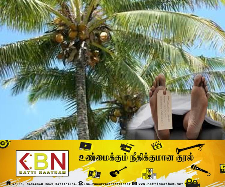 தந்தையின் தாகம் தீர்க்க தென்னை மரம் ஏறிய மகன்; பரிதாபகரமாக உயிரிழந்த சித்தாண்டி இளைஞன்!