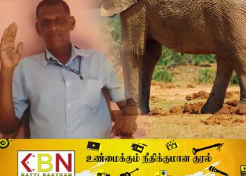 திருக்கோவில் பிரதேச அமைப்பாளர் யானை தாக்குதலில் பலி!