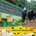 தெஹிவளை தேசிய மிருகக்காட்சிசாலையை இலவசமாக பார்வையிட சிறுவர்களுக்கு வாய்ப்பு!