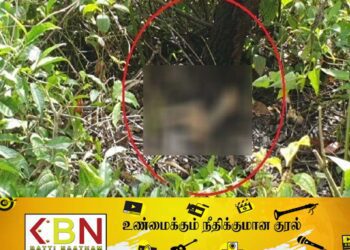 வைத்தியசாலைக்கு சிகிச்சைக்கு சென்றவரின் எலும்புக்கூடுகள் மரத்தடியில் மீட்பு!