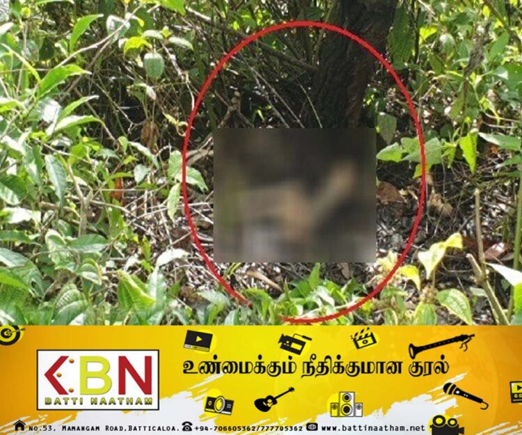 வைத்தியசாலைக்கு சிகிச்சைக்கு சென்றவரின் எலும்புக்கூடுகள் மரத்தடியில் மீட்பு!