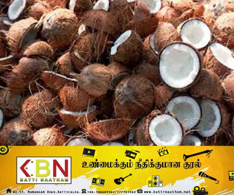 அதிக இலாபம் வைத்து விற்பனை செய்யும் இடைத்தரகர்கள்; தென்னை விவசாயிகள் சுட்டிக்காட்டு!