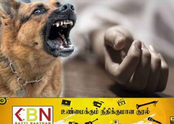 உயிரிழக்கும் வரை வயோதிப பெண்ணை கடித்து குதறிய வளர்ப்பு நாய்!