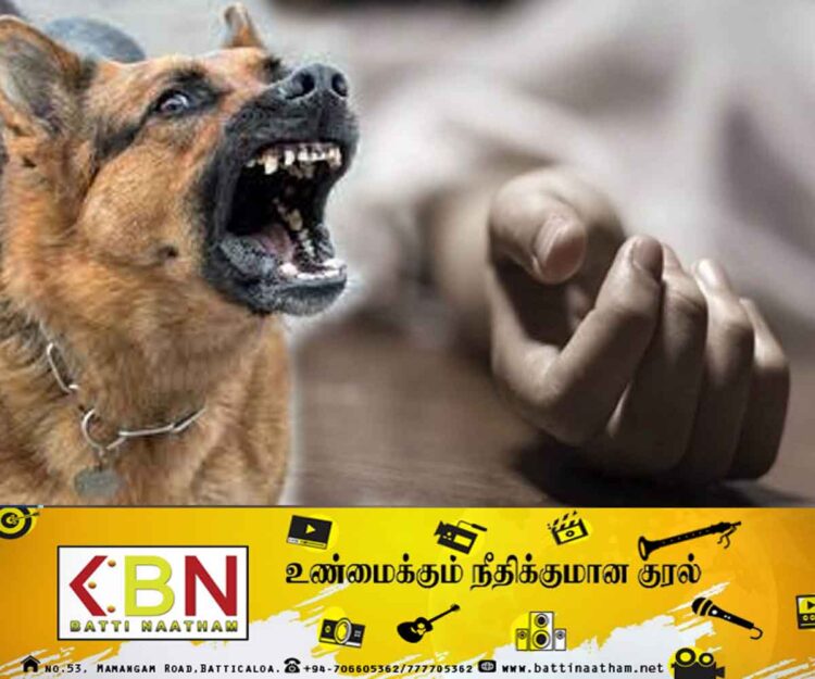 உயிரிழக்கும் வரை வயோதிப பெண்ணை கடித்து குதறிய வளர்ப்பு நாய்!