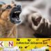 உயிரிழக்கும் வரை வயோதிப பெண்ணை கடித்து குதறிய வளர்ப்பு நாய்!