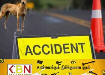 எமனாக வந்த நாய்; சம்பவ இடத்தில் பலியான நபர்!