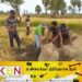 நடக்க முடியாத நிலையில் கிடந்த காட்டுயானை; சம்பவ இடத்திற்கு விரைந்து சிகிச்சையளித்த வனஜீவராசிகள் அதிகாரிகள்!