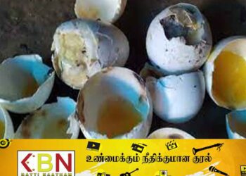 பாரியளவு அழுகிய முட்டைகள் மீட்பு!