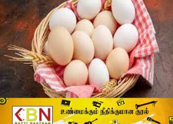 முட்டையின் விலை குறைப்பு!