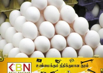 இறக்குமதி செய்யப்படும் முட்டைகள் தொடர்பில் வெளியான முக்கிய அறிவித்தல்!