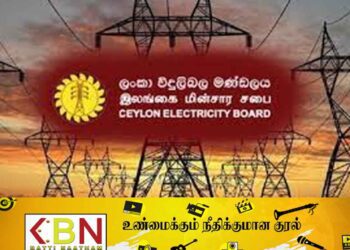 இலங்கை மின்சார சபைக்கு பேரிடி: விடுக்கப்பட்ட எச்சரிக்கை!