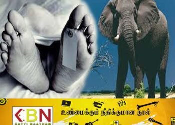 மஹியங்கனையில் காட்டு யானை தாக்கம்; பாட்டி மரணம், பேத்தி படுகாயம்!