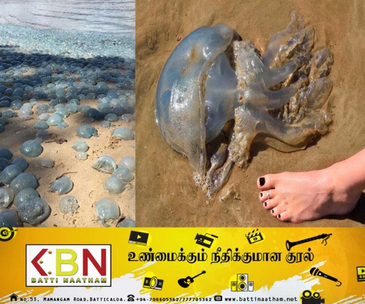 கொழும்பு கடற்கரைக்கு செல்வோருக்கு எச்சரிக்கை!