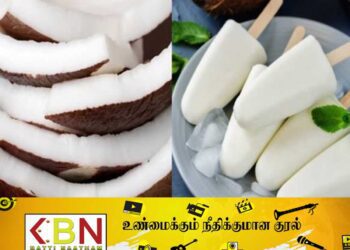 இலங்கை சந்தையில் விரைவில் தேய்காய் ஐஸ்கிரீம்; தென்னை ஆராய்ச்சி நிறுவனம் தகவல்!