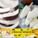 இலங்கை சந்தையில் விரைவில் தேய்காய் ஐஸ்கிரீம்; தென்னை ஆராய்ச்சி நிறுவனம் தகவல்!