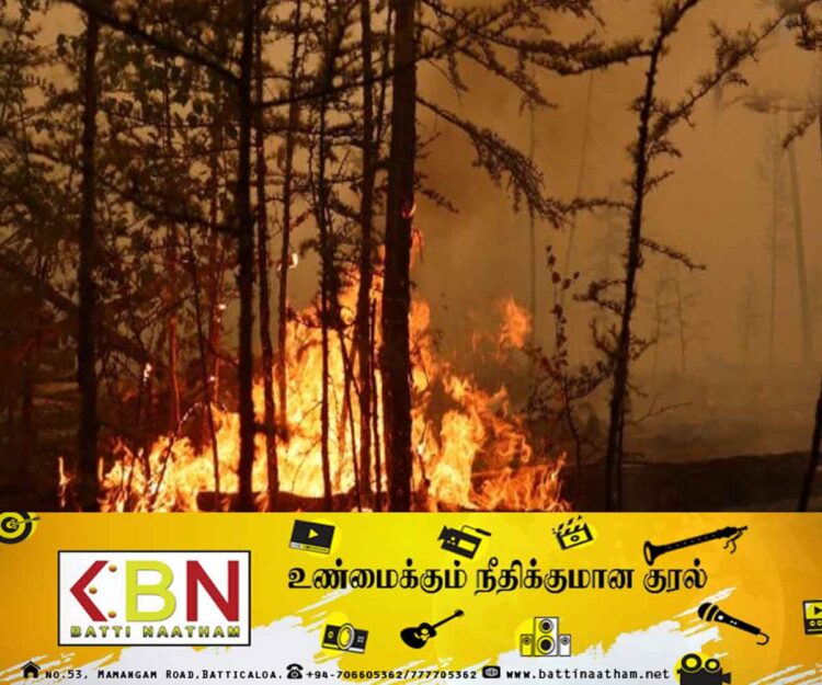 கடுமையான வறட்சி மற்றும் காற்றுடன் கூடிய வானிலை; பதுளை மாவட்டத்தில் காட்டுத்தீ!