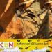 மனித புதைகுழிகள் குறித்து எதுவும் தெரியாதாம்; பொதுமக்கள் பாதுகாப்பு அமைச்சின் செயலாளர் வியானி குணதிலக!