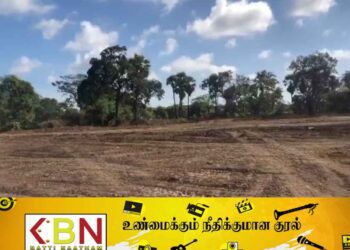 முல்லைத்தீவில் சட்டவிரோத காடழிப்பு; அசண்டையீனமாக இருக்கும் அதிகாரிகள்!
