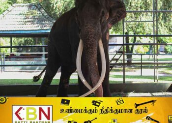 முத்துராஜாவை தாய்லாந்து கொண்டுசென்றது குறித்த உண்மை புலப்பட்டுள்ளதாம்!