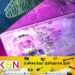 இலத்திரனியல் கடவுச்சீட்டு வழங்கும் முறை தற்காலிகமாக நிறுத்தம்!