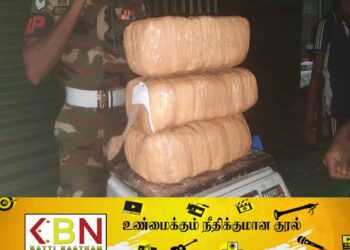கிளிநொச்சியில் திடீர் சோதனை; 6 கிலோ கஞ்சாவுடன் ஒருவர் கைது!