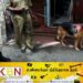 அக்கரைப்பற்றில் பூட்டியிருந்த வீட்டில் திருட்டு; சந்தேகநபர்களுக்கு பொலிஸார் வலைவீச்சு!