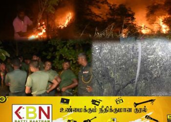 சிலாபத்தில் பாரிய தீ விபத்து; 25 ஏக்கரிற்கும் அதிகமான நிலப்பரப்பு தீக்கிரை!