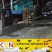 யாழில் இரு குழுக்களிடையே மோதல்; படையினர் குவிப்பு!