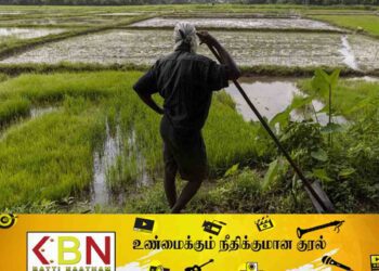 பயிர் சேதத்திற்கான இழப்பீடு வழங்குவதற்கான யோசனை அடுத்த வாரம் அமைச்சரவையில்!