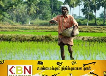 நெற்பயிர்ச் சேதத்திற்கு இழப்பீடு வழங்க தீர்மானம்!