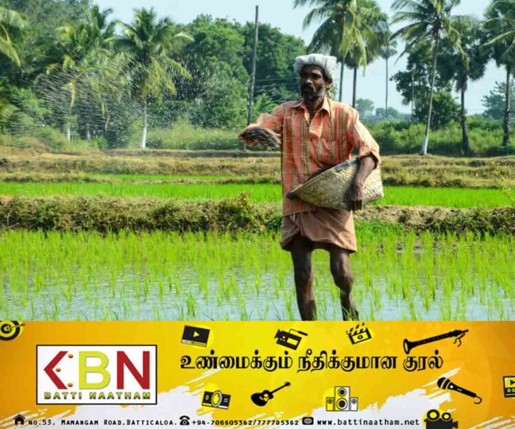 நெற்பயிர்ச் சேதத்திற்கு இழப்பீடு வழங்க தீர்மானம்!