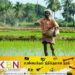 நெற்பயிர்ச் சேதத்திற்கு இழப்பீடு வழங்க தீர்மானம்!
