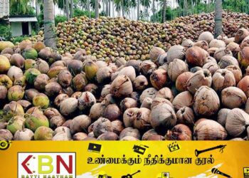 உள்ளூர் தென்னைத் தொழிலைப் பாதுகாக்க நடவடிக்கை!