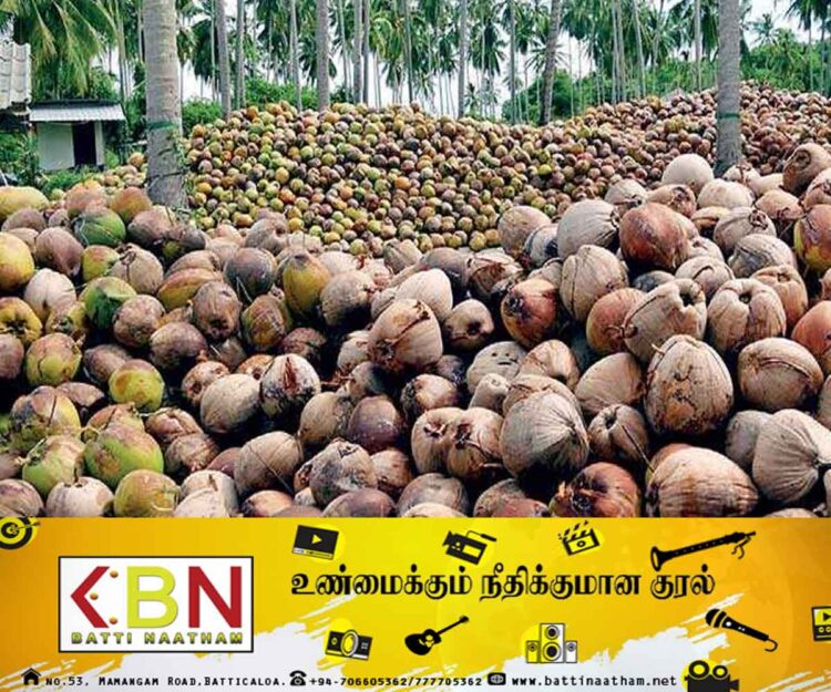 உள்ளூர் தென்னைத் தொழிலைப் பாதுகாக்க நடவடிக்கை!