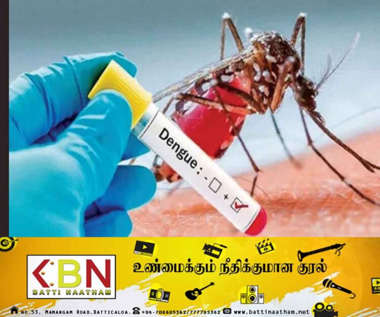 இந்த ஆண்டில் டெங்கு நோயின் தாக்கம் அதிகம்!