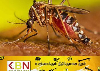 டெங்கு நோயாளர்களின் எண்ணிக்கையில் அதிகரிப்பு!