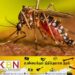 டெங்கு நோயாளர்களின் எண்ணிக்கையில் அதிகரிப்பு!