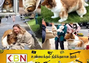 ‘நான் ஒரு மிருகமாக இருக்க விரும்புகிறேன்’- தன்னை நாயாக மாற்றிக்கொண்ட இளைஞன்!