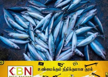 கடற்றொழில் கூட்டுத்தாபனத்தின் மீன்களை Online ஊடாக சந்தைப்படுத்த நடவடிக்கை!