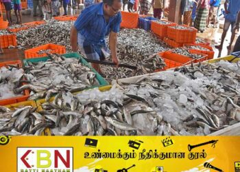 மீன் விலை குறைந்துள்ளதாம்?