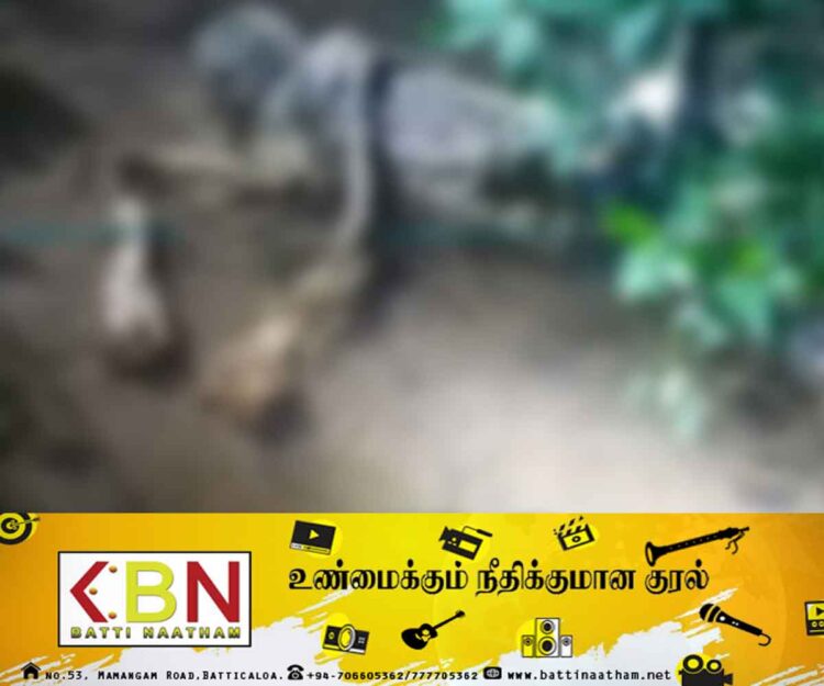 சிதைந்த நிலையில் சடலமாக மீட்கப்பட்ட மட்டு வெல்லாவெளி இராணுவ சிப்பாய்!