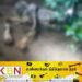 சிதைந்த நிலையில் சடலமாக மீட்கப்பட்ட மட்டு வெல்லாவெளி இராணுவ சிப்பாய்!