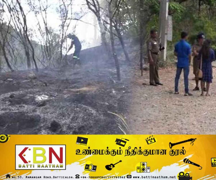 புத்தர் சிலையை பார்வையிட சென்ற காதலர்கள் செய்த காரியம்; பற்றி எரிந்த நிலப்பரப்பு!