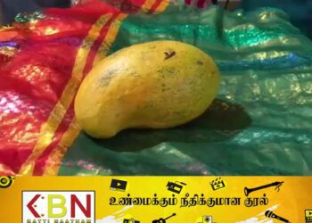 162,000 ரூபாய்க்கு விற்கப்பட்ட மாம்பழம்!