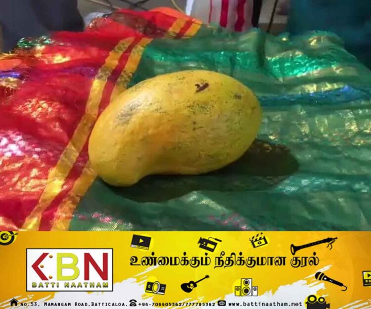 162,000 ரூபாய்க்கு விற்கப்பட்ட மாம்பழம்!