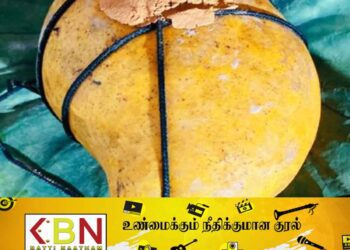 ஒரு மாம்பழத்தின் விலை 95,000 ; வவுனியாவில் ஏலம்!