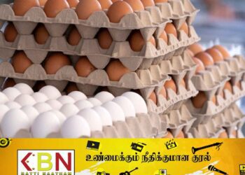 முட்டை விலை 35; ஹட்டன் சதொச!
