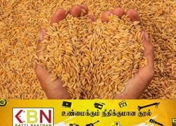 “ஒரு மாதத்திற்கு மட்டுமே நெல் இருப்பு உள்ளது” ; நெல் சந்தைப்படுத்தல் சபை தெரிவிப்பு!